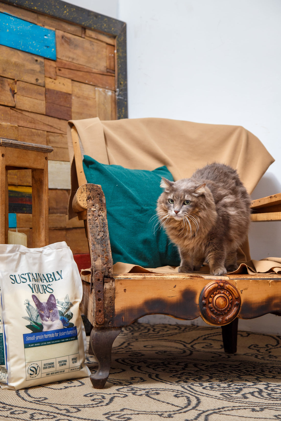 Sustainably Yours cat litter bag with cat — best cat litter Australia 2025