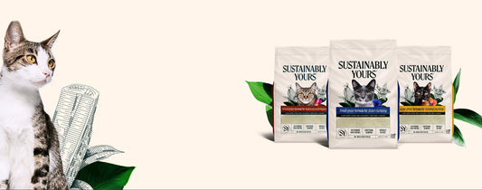The Ultimate Guide to Cat Litter in Australia: Why Corn &amp; Cassava is Changing the Game