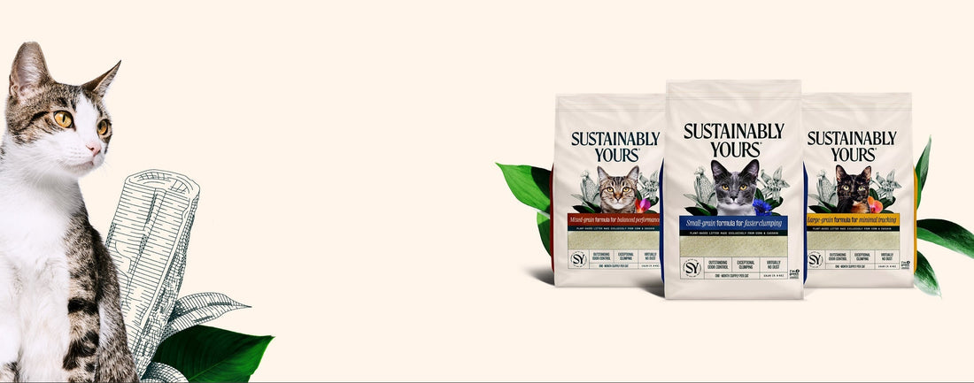 The Ultimate Guide to Cat Litter in Australia: Why Corn &amp; Cassava is Changing the Game