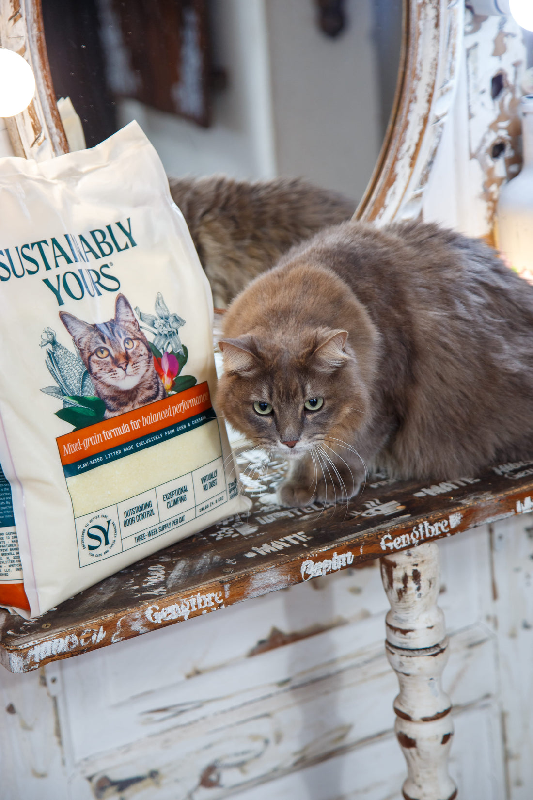 Cat next to Sustainably Yours corn cat litter bag - corn vs tofu litter comparison