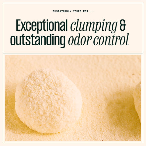 Sustainably Yours Small Grain Cat Litter – product image 3
